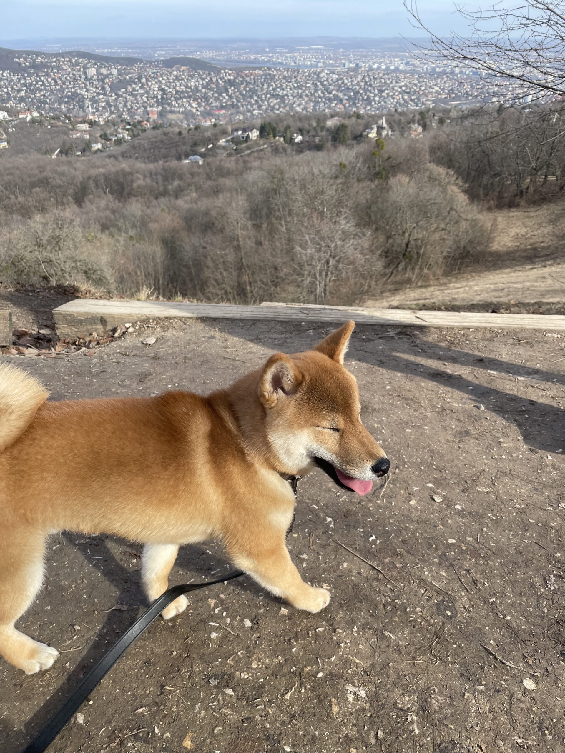 Kylo walking