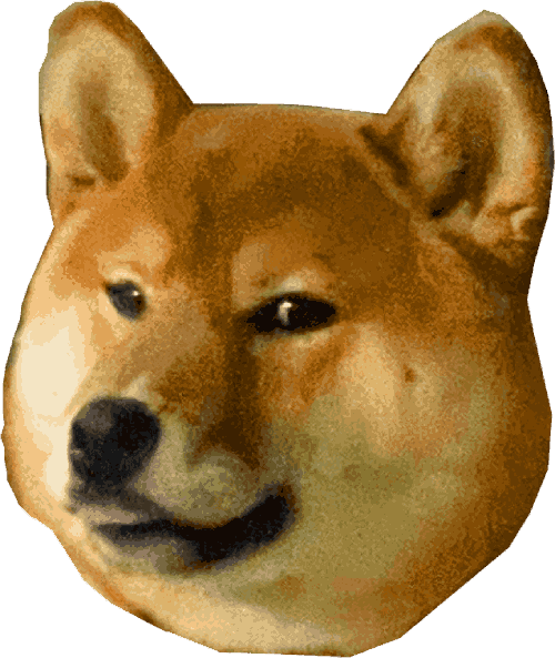 Shibaheaven.com